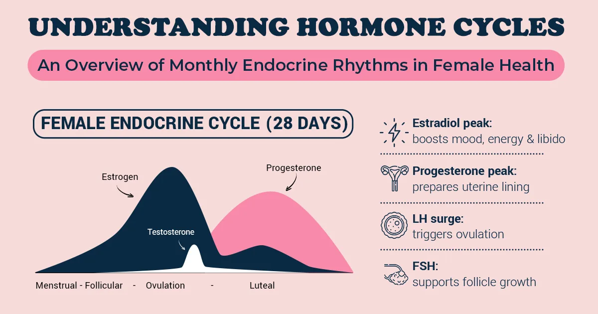 Understanding Hormone Cycles: A Simple Guide to the 28-Day Female Endocrine Rhythm – Conceive Life fertility blog