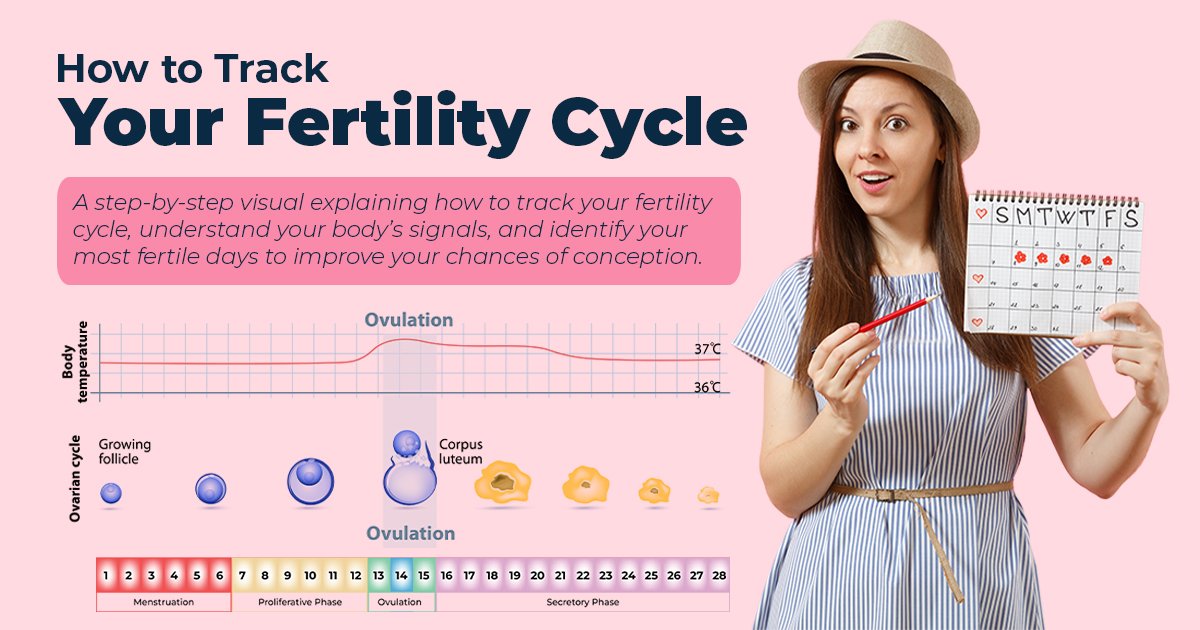 How to Track Your Fertility Cycle
