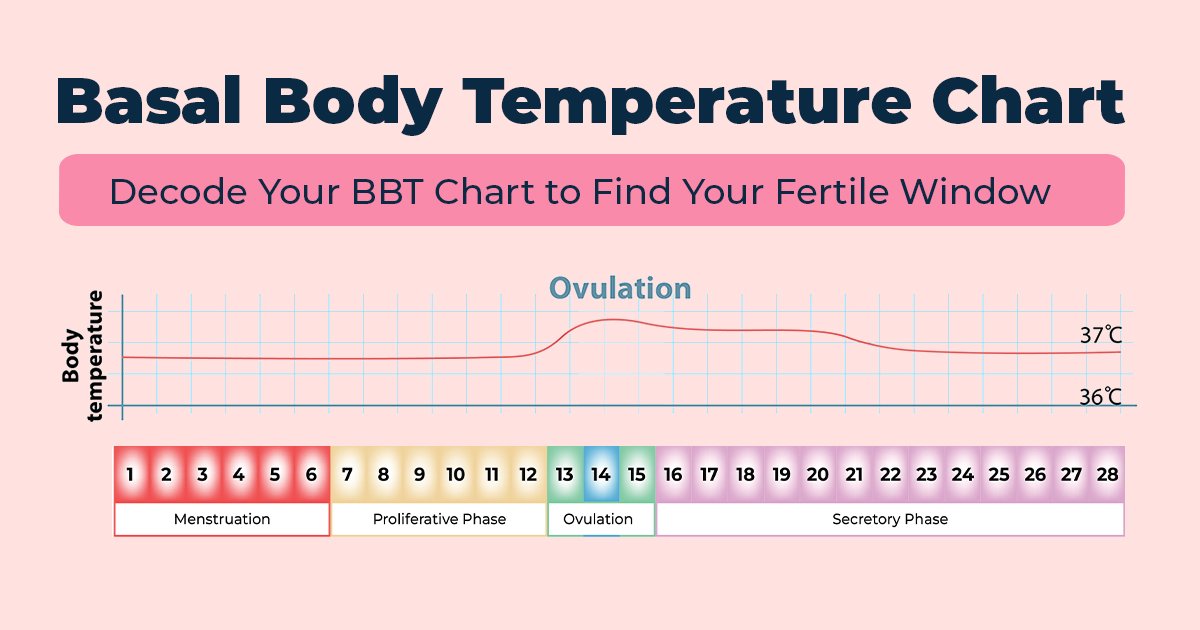 How to Read A Basal Body Temperature Chart Step by Step