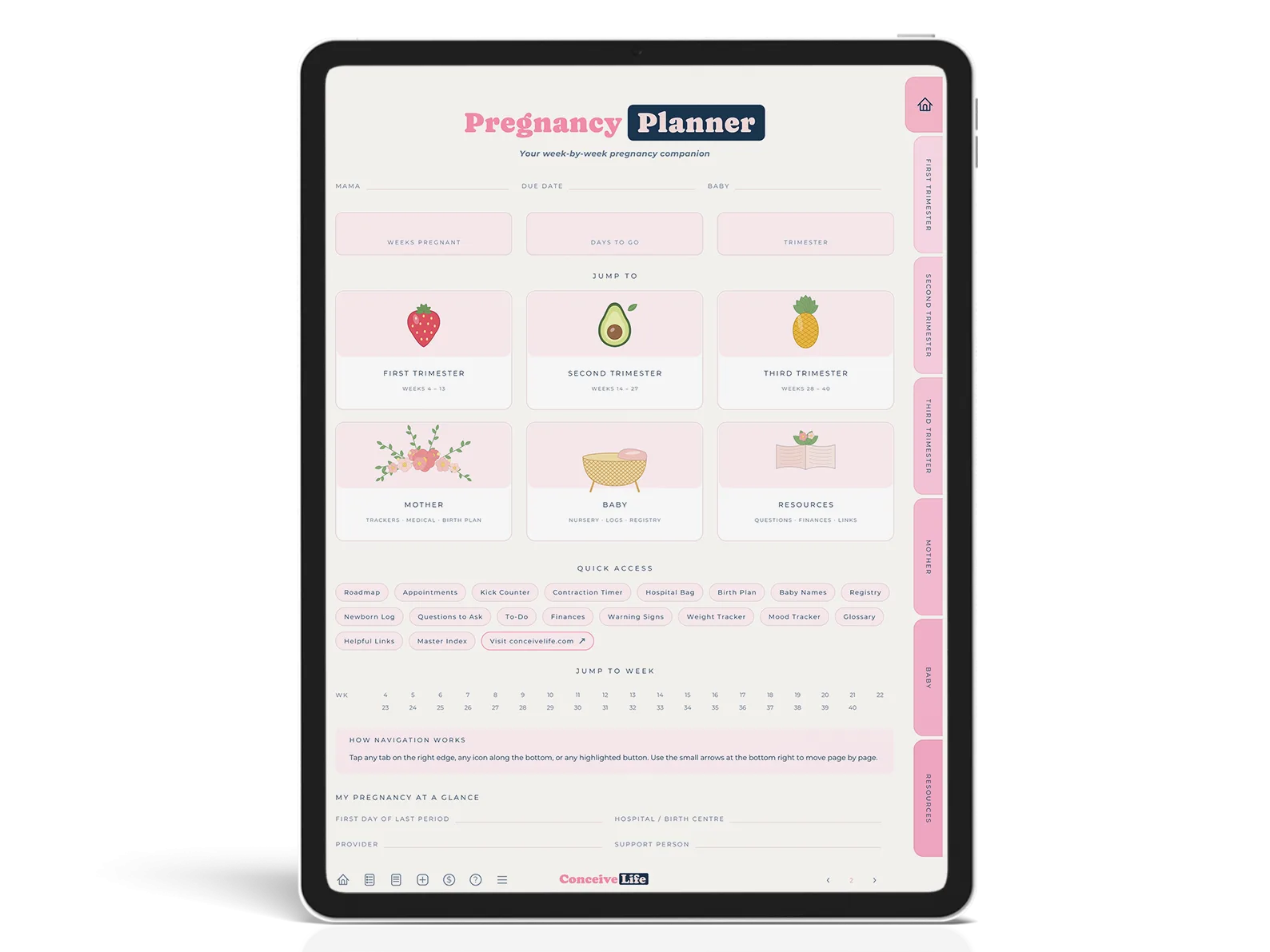 Digital Pregnancy Planner – Conceive Life fertility eBook cover